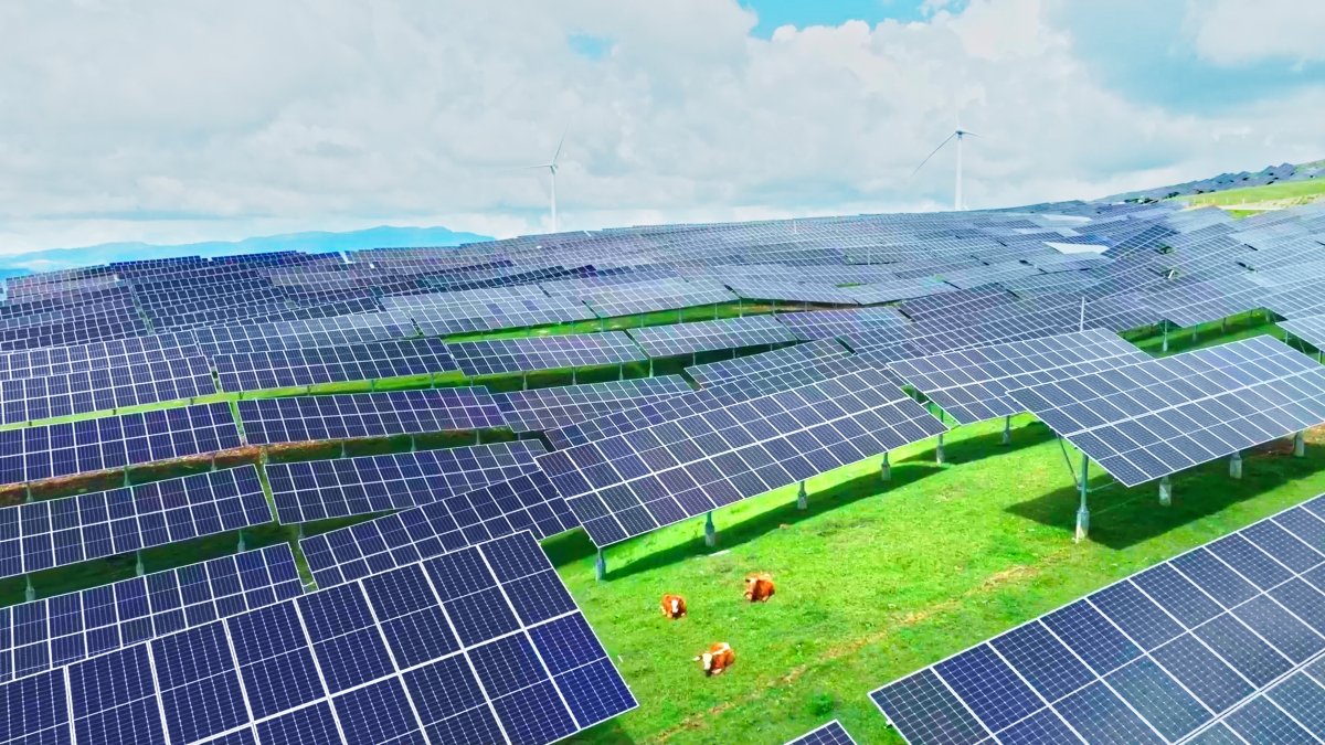 国家知识产权局信息显示