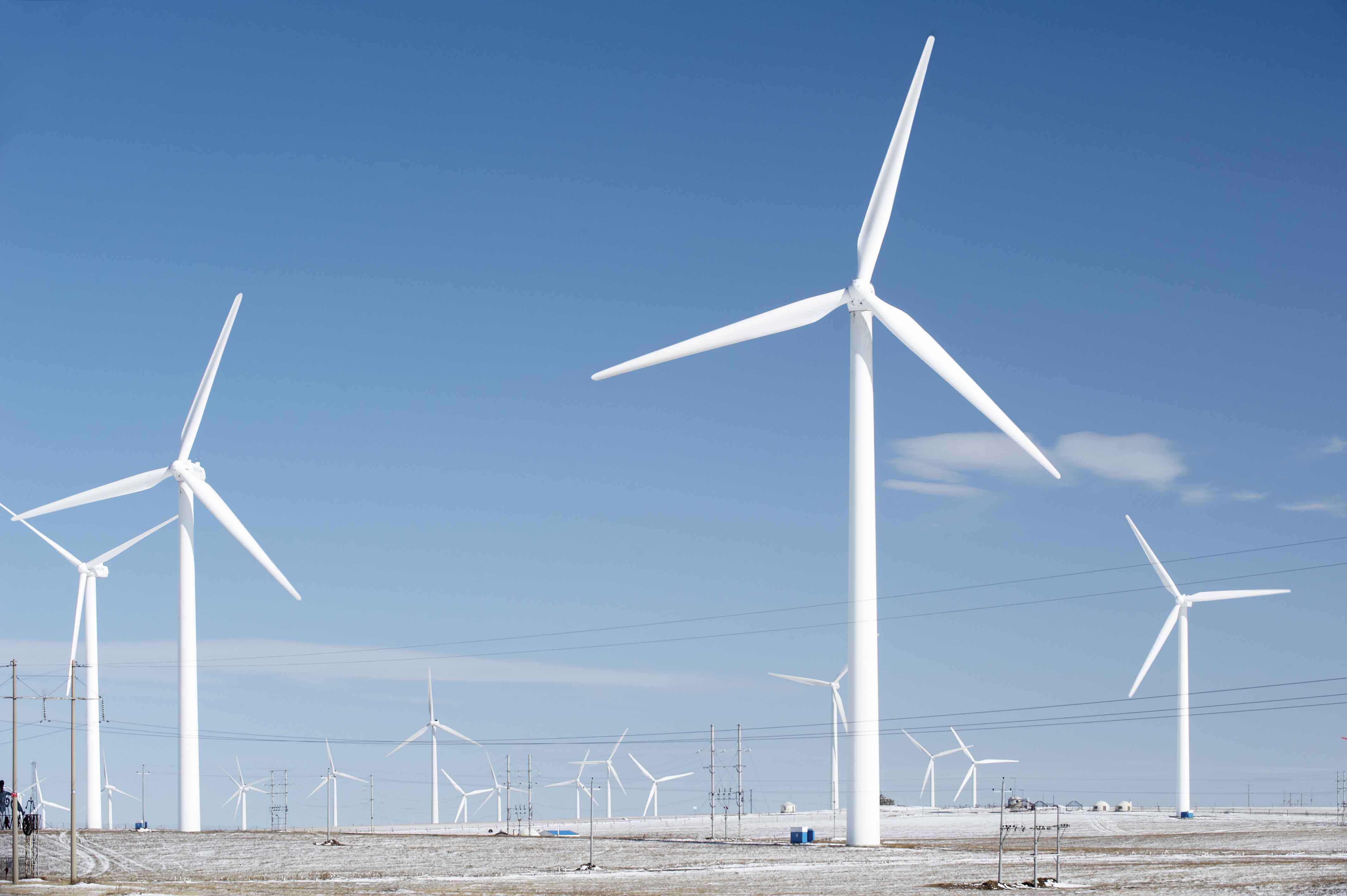 估值已达到1000万元人民币