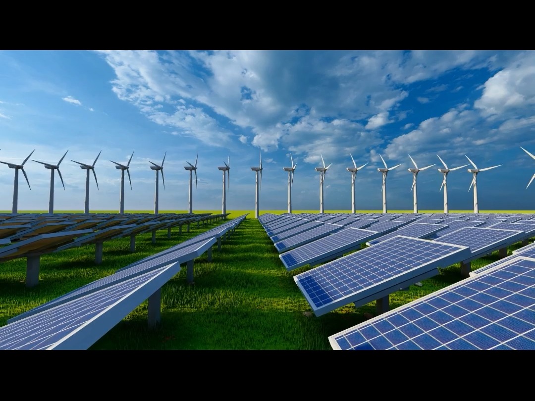 对范某某作出免职处理