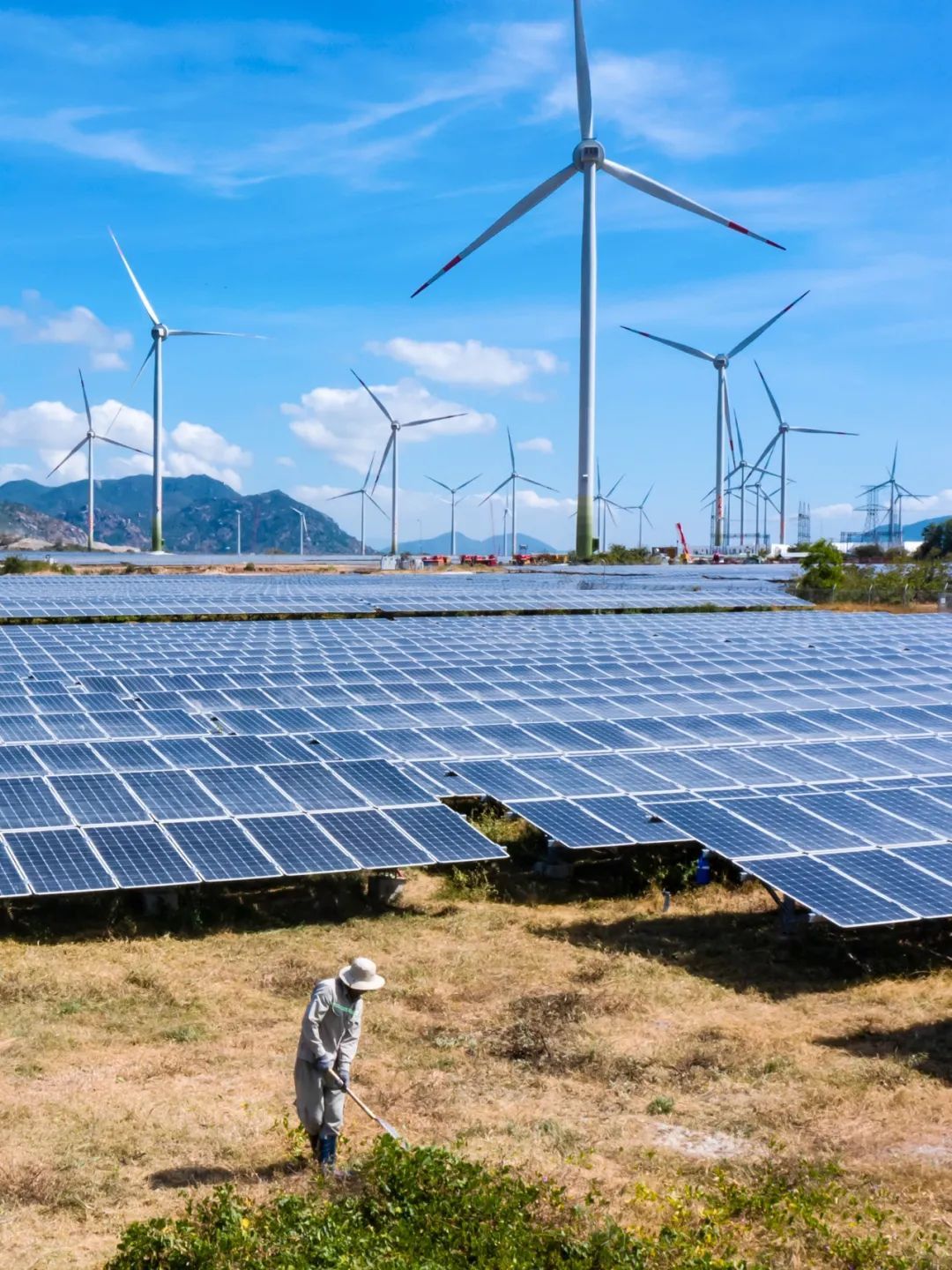 为构建“双碳”目标下的绿色循环经济体系注入新动能