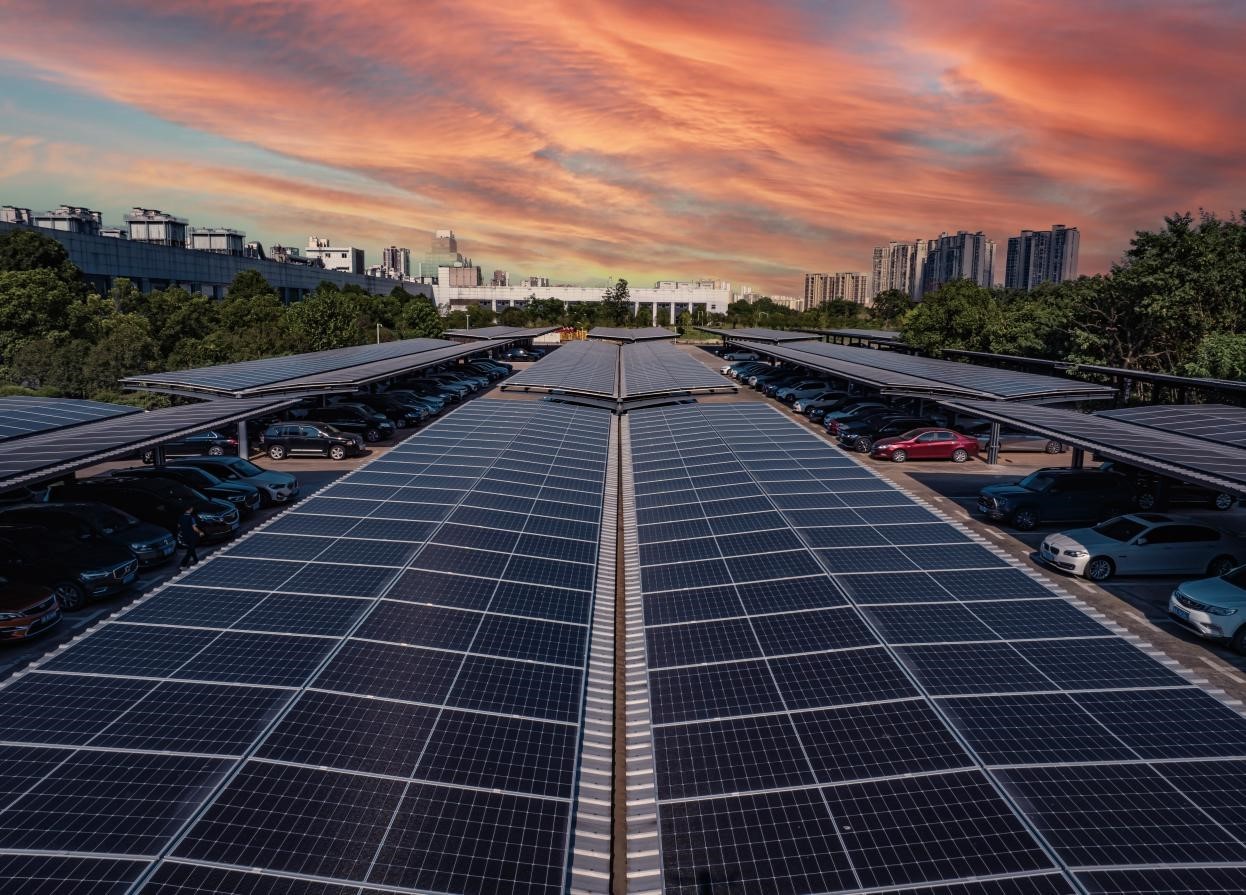 品牌影响力备受认可