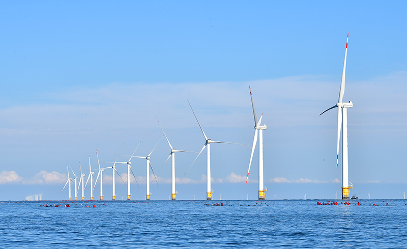 仍面临着初始投资较高、市场竞争能力偏弱等“成长的烦恼”