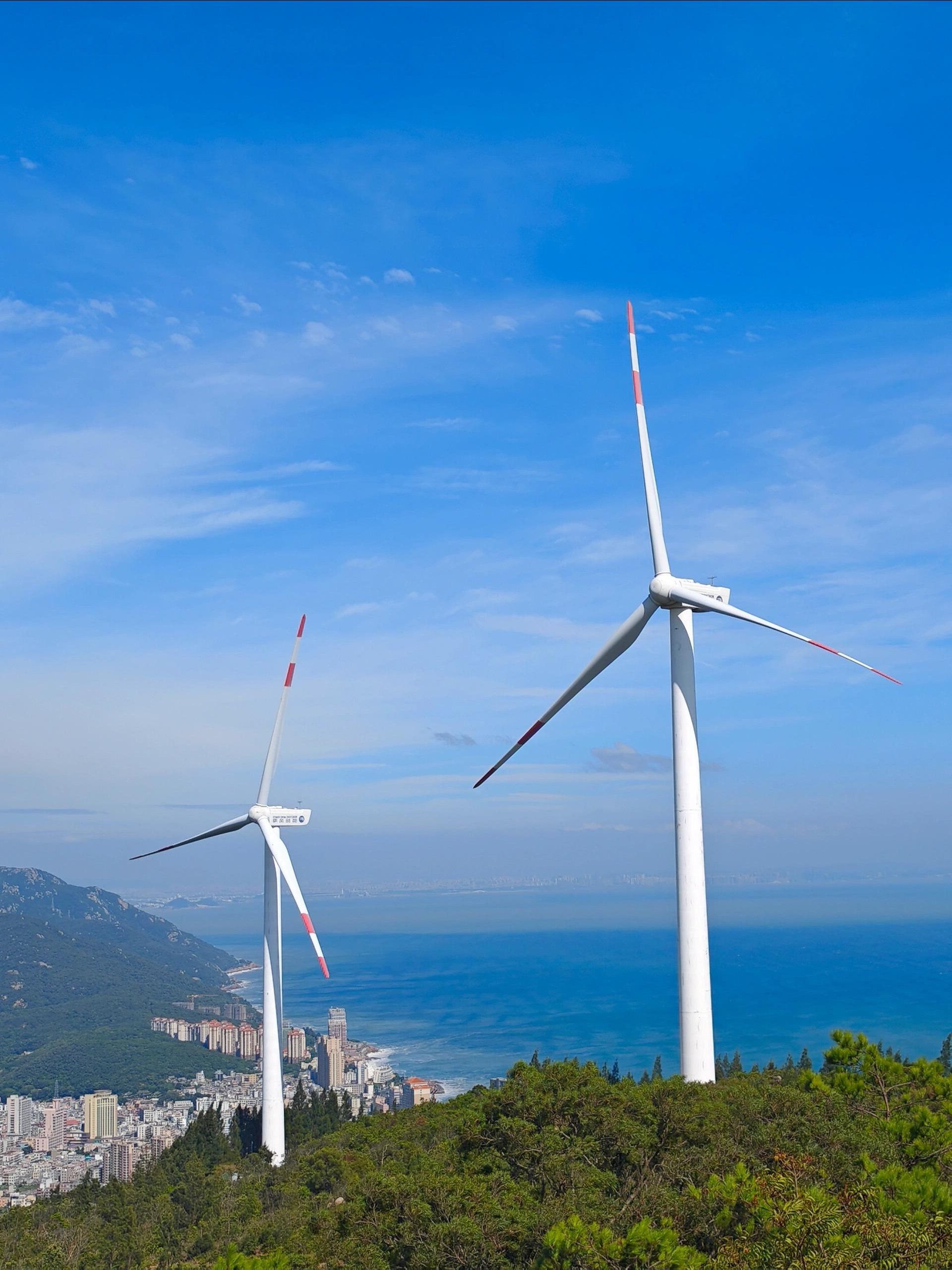 京公网安备 201号] [京ICP备2021034286号-7] [互联网宗教信息服务许可证：京；京]