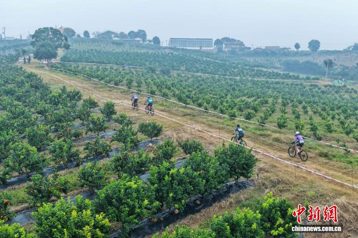 国内顶尖车手云集湖北当阳橘园竞速 上演山野狂